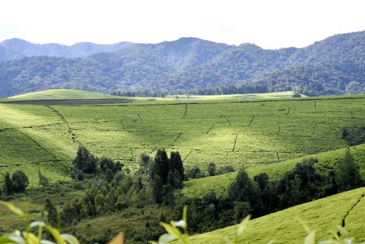 Burundi Scenic Beauty.JPG