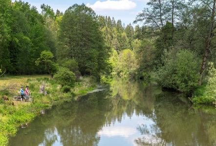 An der Vils bei Ensdorf / Florian Trykowski