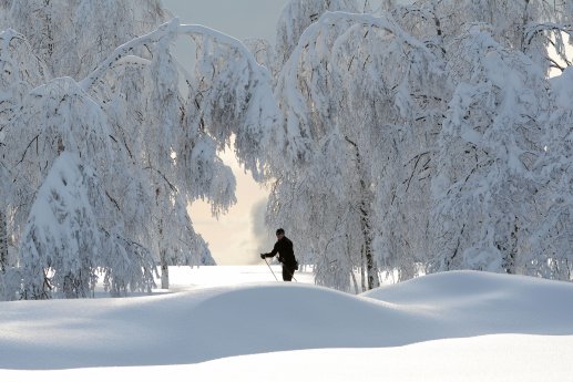 Winter_im_Nationalpark © Walter Finkbeiner.jpg