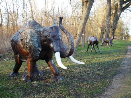 Tierpark Birkenried-2.JPG