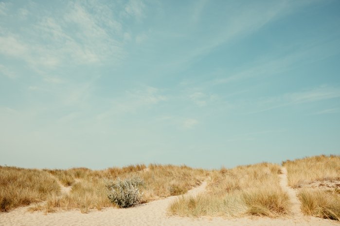 natuur-knokke-heist_53489000685_o.jpg