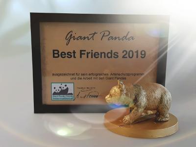 Giant Panda Best Friends Award