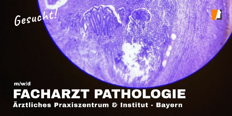 karriere-stelle-facharzt-pathologie-bayerrn.jpg