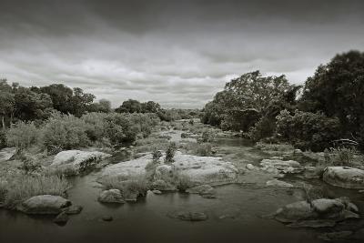 Sabie River Kruger National Park South Africa / Fotoarbeiten "Abenteuer Afrika" | Fotos: Susen Reuter