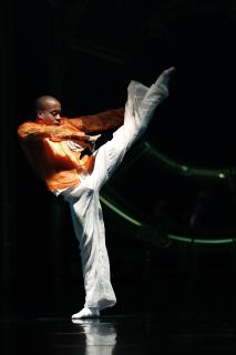 Magnificat Leizpiger Ballett / Bild: ©Ida Zenna