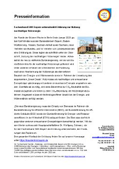 PM_Nutzung Holzenergie_01.2025.pdf