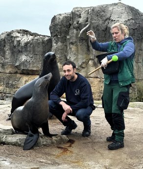 Fabian Müller-Trefzer 2024©Zoo am Meer.JPG