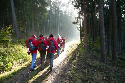 Führungstraining und Teamentwicklung
