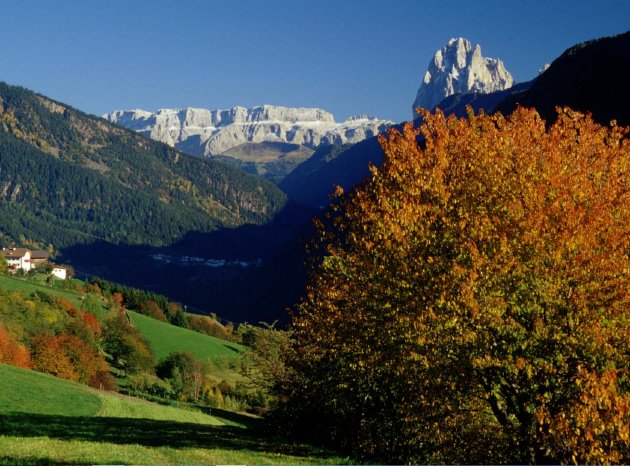 herbst-postweg.jpg