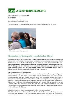 APD_213-2017.pdf
