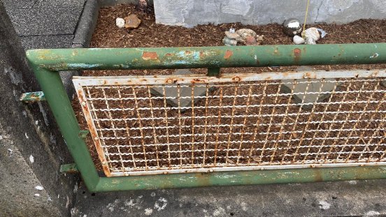 Schrottabholung Essen – Zuverlässiger Service für Autoverschrottung, Schrottankauf und Demontage.jpg