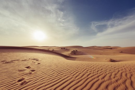 Wüste Wahiba Sands - Oman - Asien Special Tours.jpg