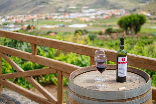 Vulkanischer Wein Lanzarote_Copyright Lex Thoonen - hellocanaryislands.jpg