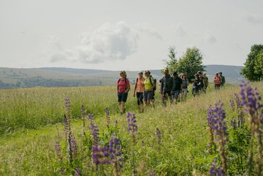 5g05qpd59vkxmmuipgly4k