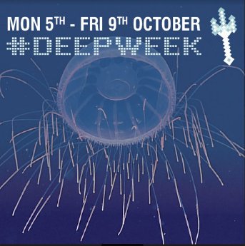 Deep-Week-02.JPG