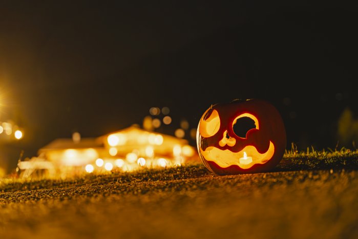 Verhextes Kürbisfest 2024 @Nick Berger Hochaufgelöst-35.jpg