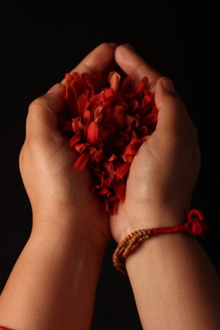 Pushpa-anjali Mudra Variation (arms).JPG