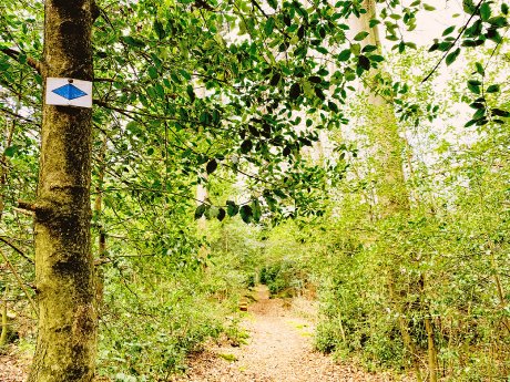 PM_Grenzgänger im Nordschwarzwald - „Historische Runde“ rund um Dobel.jpg