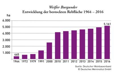 Entwicklung Weissburgunder