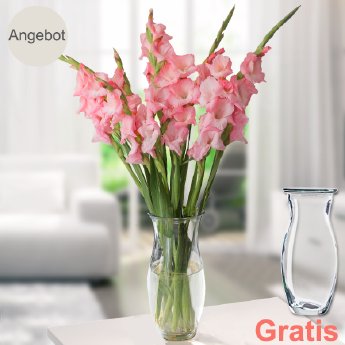 2026-10-rosa-pinke-gladiolen-im-bund-mit-vase.jpg