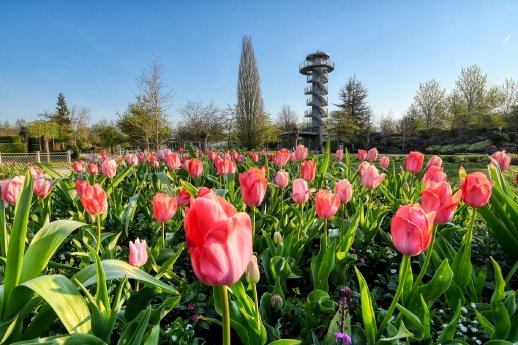 Hans-Jürgen_Zietz___Frühling_im_Park_01.jpg