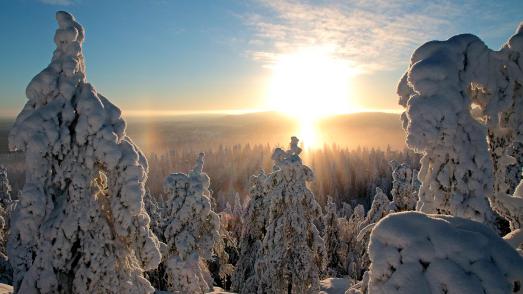 Herrliche Winterlandschaft / © VUOKATTI | FINLAND