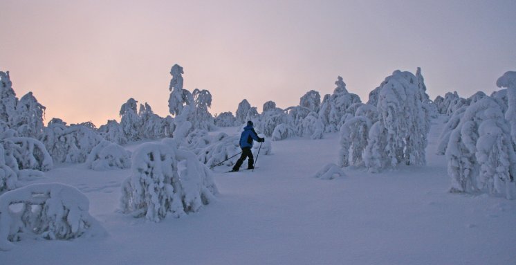 Mit den Schneeschuhen durch die Wildnis © Raimo Korkalo.jpg