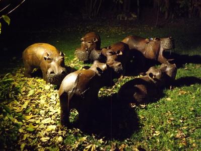 Lichterwald in Birkenried / Bild: Kulturgewächshaus