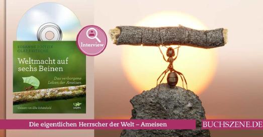 Prof. Dr. Susanne Foitzik im Interview über ihr Ameisen-Hörbuch „Weltmacht auf sechs Beinen“ ©Andrey Pavlov shutterstock-ID 66243364