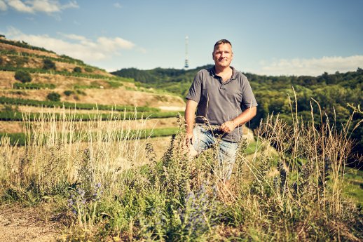 winzer in OBERBERGEN.png