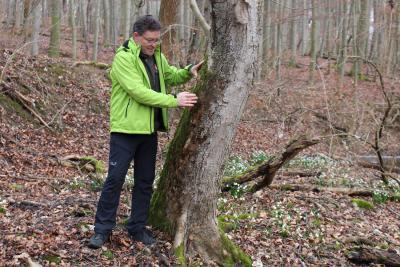 Jürgen Dawo im Nationalpark Hainich - Buchenurwald und UNESCO-Weltnaturerbe