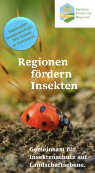 Regionen fördern Insekten - Weingut Hafner.png