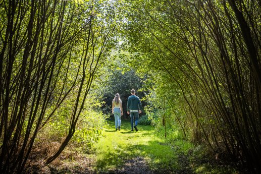 Die Van Gogh Wanderroute Nuenen (c)VisitBrabant.jpg