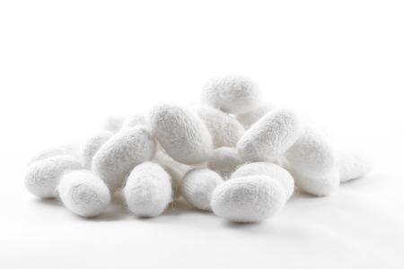 NEOSILK® - das neuartige Kollagen Typ 1 für innovative Anwendungen in der Kosmetik
