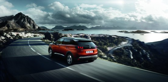 GuE_PEUGEOT_3008 optional1.jpg