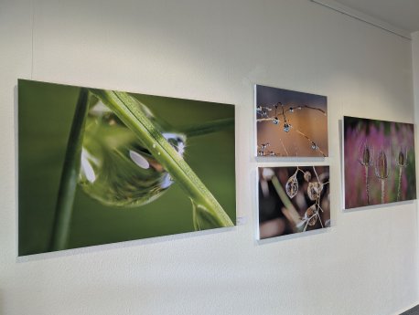 Eindrücke aus Walter Tosts Ausstellung im Kurhaus Hahnenklee_Foto Hahnenklee Tourismus GmbH.jpg