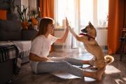 8 Ideen wie du deinen Hund sinnvoll zu Hause beschäftigen kannst