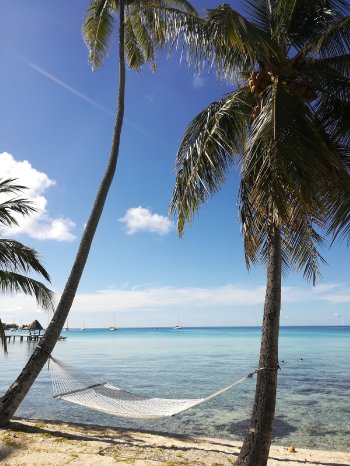 IMG_20211218_082655 _Su╠êdsee (c) Karawane_Scha╠êffner.jpg