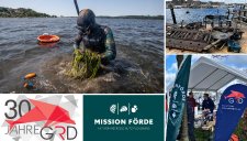 Zusammenarbeit von Mission Förde e.V. und der Gesellschaft zur Rettung der Delphine e.V.