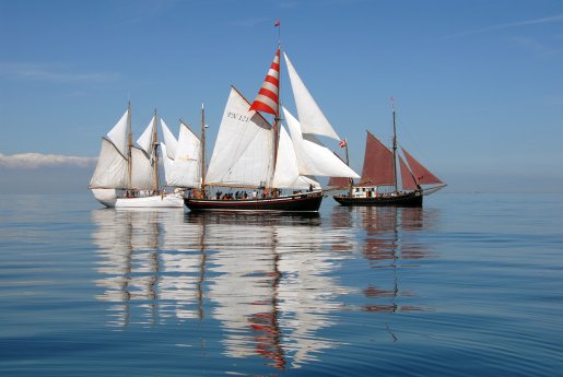Hansine zur Haikutter-Regatta bei der Hanse Sail 2022 (c) Volker Gries.JPG