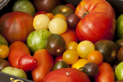 1_Tomatenvielfalt.jpg