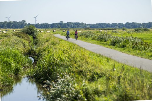 Radtour ins Grüne durch die Wümmeniederung.jpg