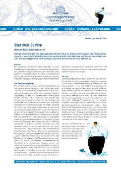 0802_GEV_Schadentelegramm_Rueckstau.pdf