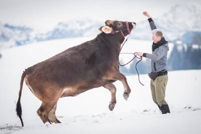 Markus Holzmann macht es möglich. (Bild Jana Lorenz)