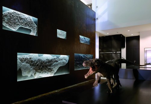 Web Version-1_Museo dei Fossili del Monte San Giorgio -©Fotografie Enrico Cano.jpg