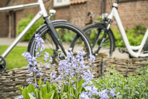 _DSC5354-Himmelpforten-St. Ma.-Ki.©Mönchsweg e.V.-MarTiem Fotografie.jpg