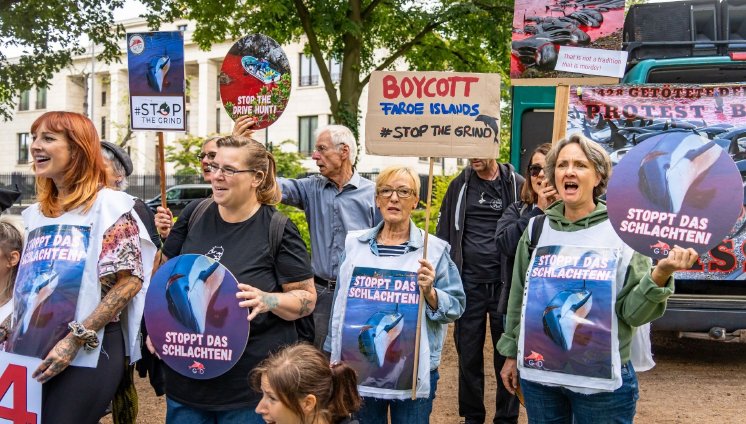 Berlin-Protest 11.jpg