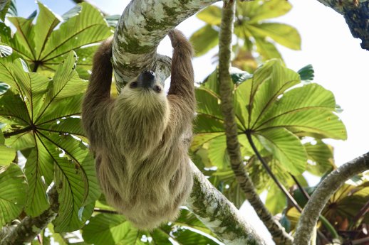 Bilder Costa Rica © Andreas Mayr (7).JPG