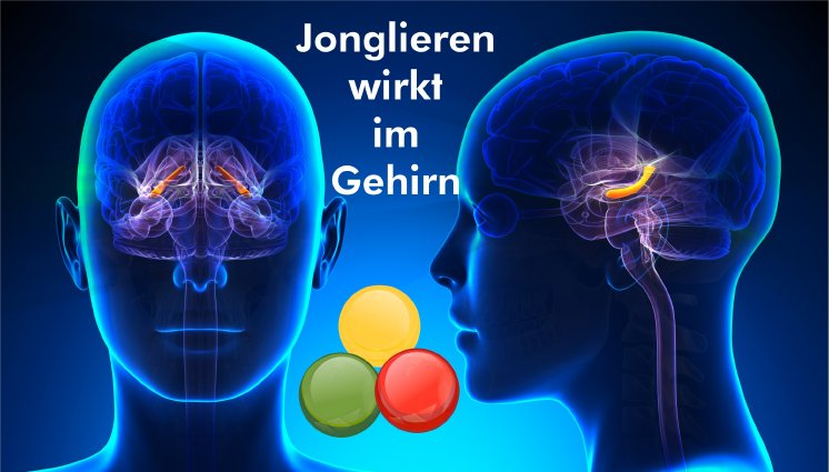 Jonglieren-wirkt-im-Gehirn.jpg