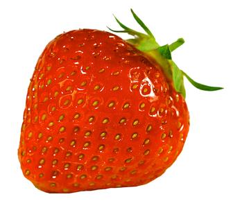 Erste deutsche Erdbeeren, Foto: Obstgroßmarkt Mittelbaden/Dieter Simon